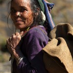 Pani