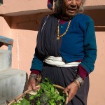 Pani