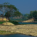 Kaptai, bambusy na jeziorze