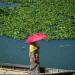 Nawabganj