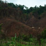 Na trasie Huay Xai - Vieng Phoukha: deforestacja forestu