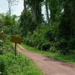 Vieng Phoukha - drogowskaz do nieczynnego guest house'u