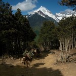 Widoczek na trasie Xidang - Yubeng